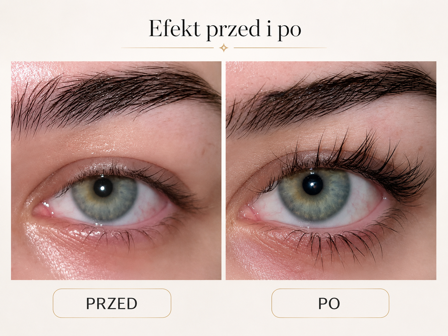 Serum do Rzęs LashBloom — Dłuższe, Gęstsze Rzęsy w 30 Dni